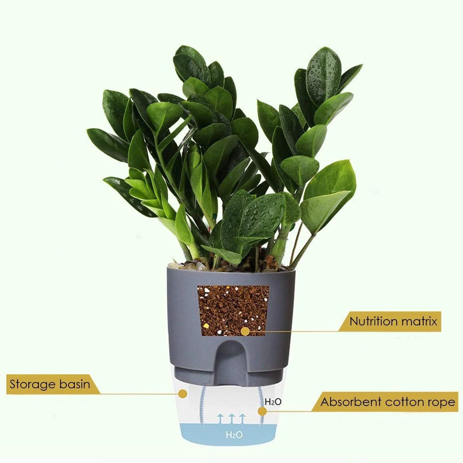 S9da379d9721f486483b1ccca49d13f2bA